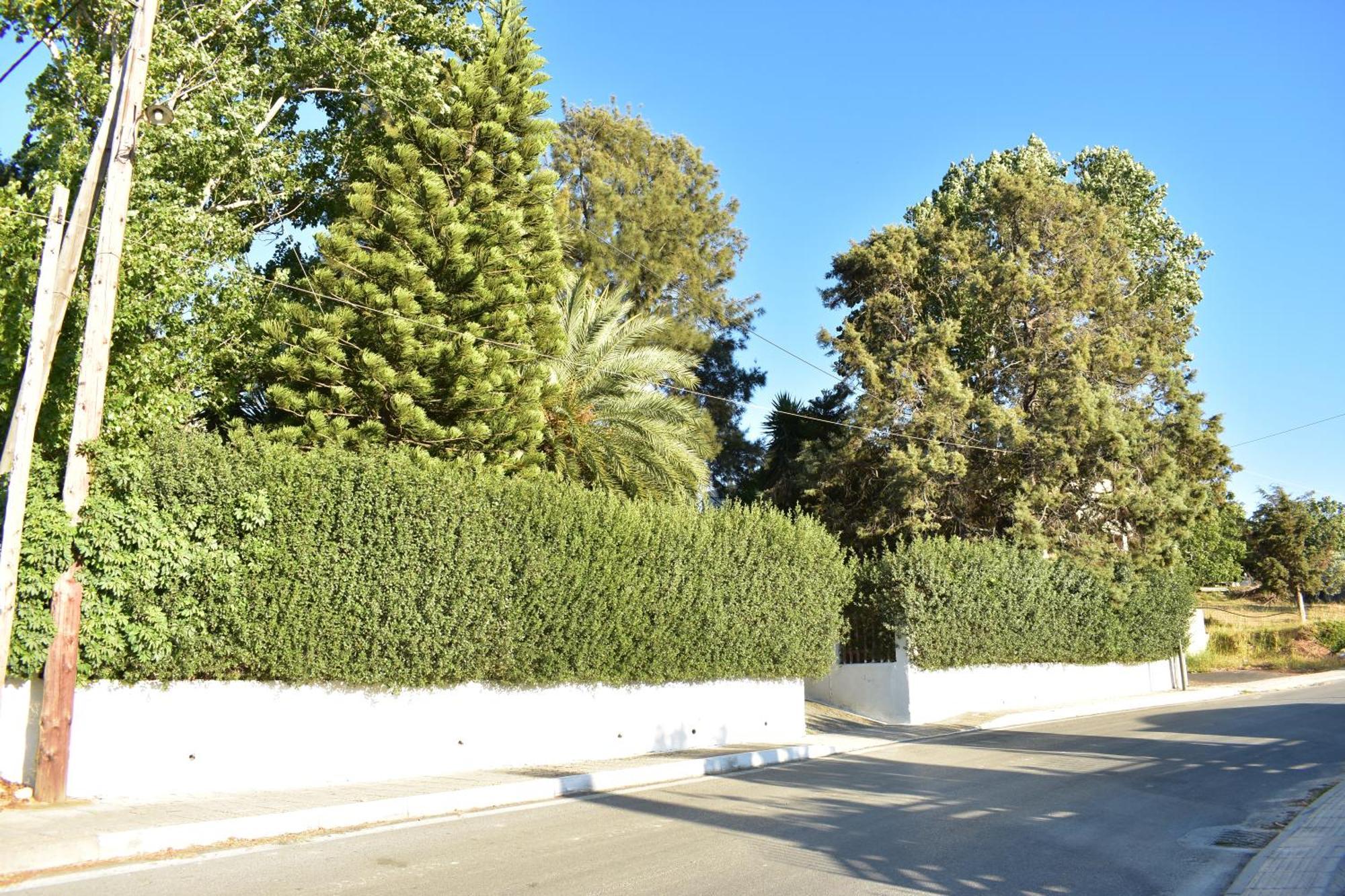 فيلا Νιrαsτεrο - The House In The Trees Kalloni  المظهر الخارجي الصورة
